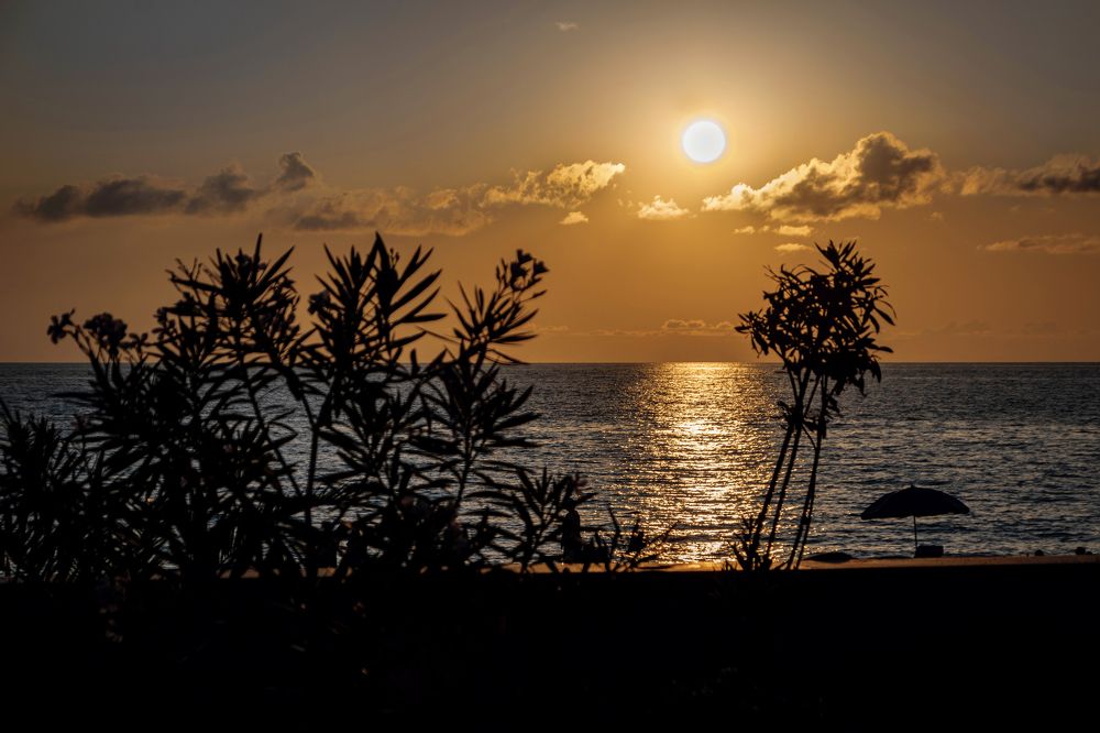 Photograph by Альфия Агзами