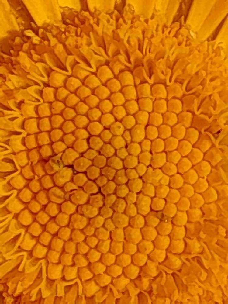 Photograph by Виталий