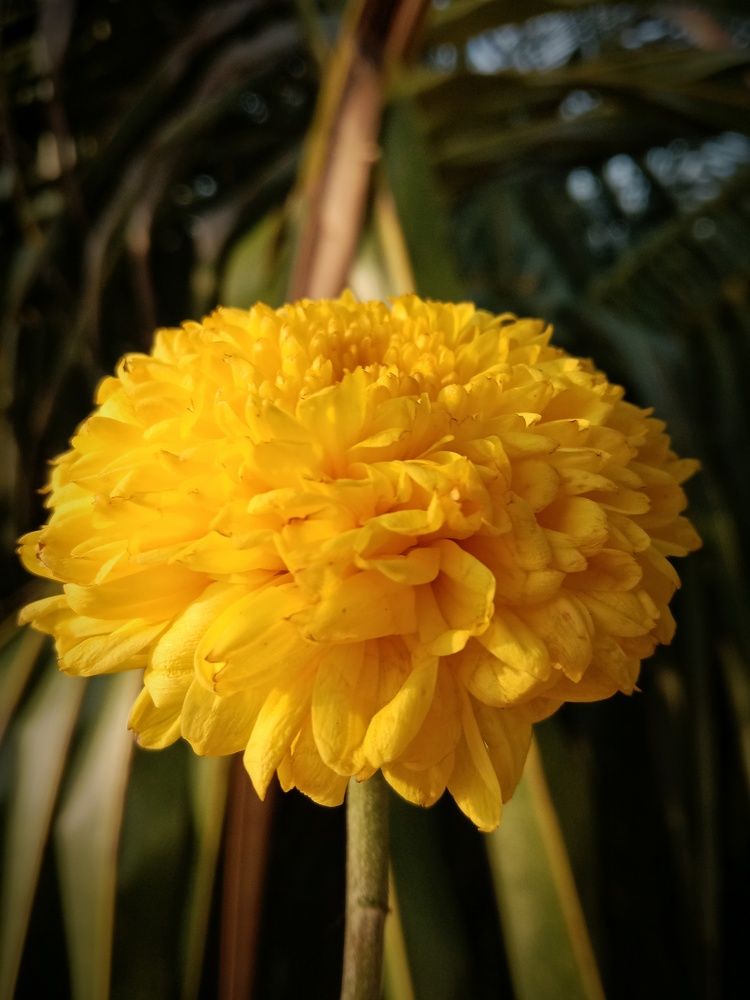 Фотография автора Captured Chronicles