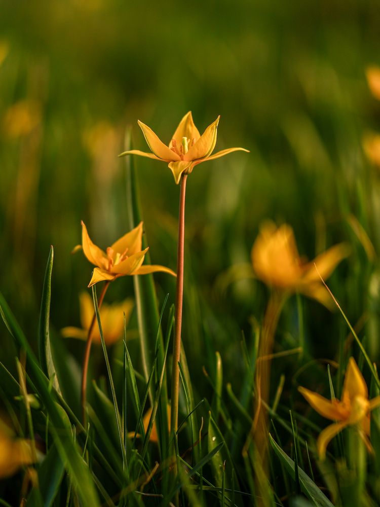Photograph by Сергей Конюшенко