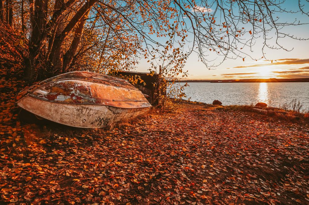 Photograph by Алексей Голубев