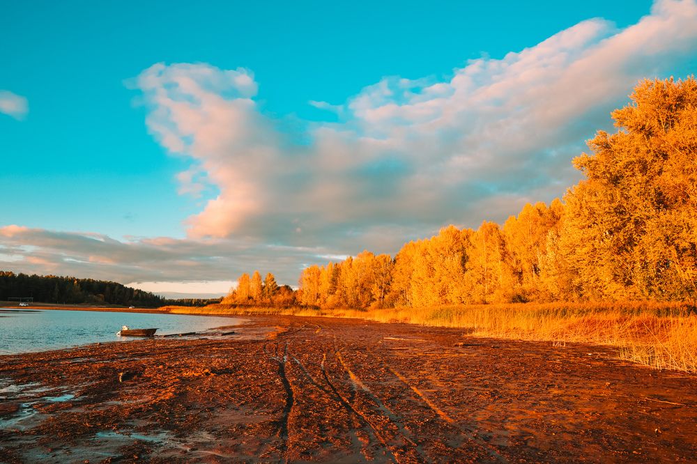 Photograph by Алексей Голубев