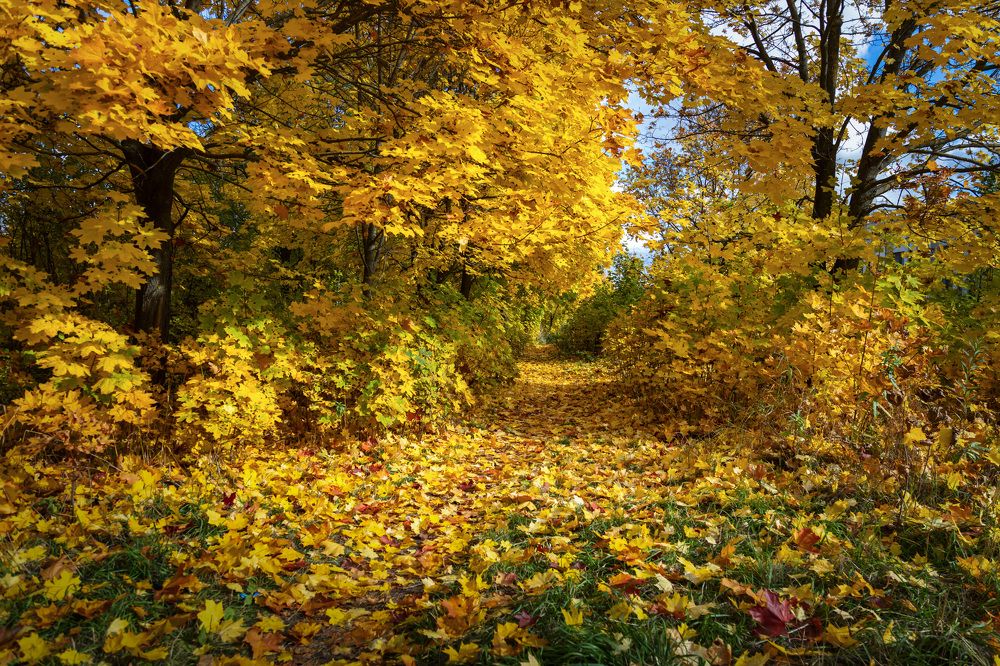 Photograph by Владимир Карпов