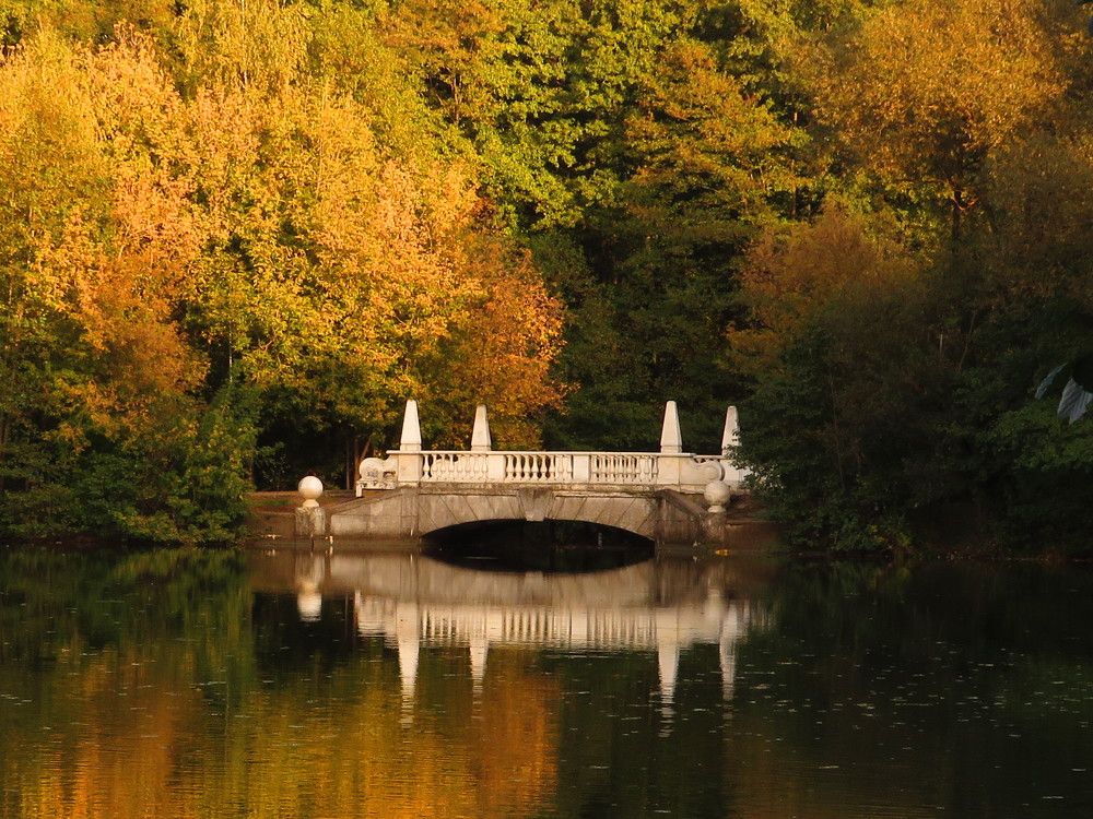 Мостик на озере