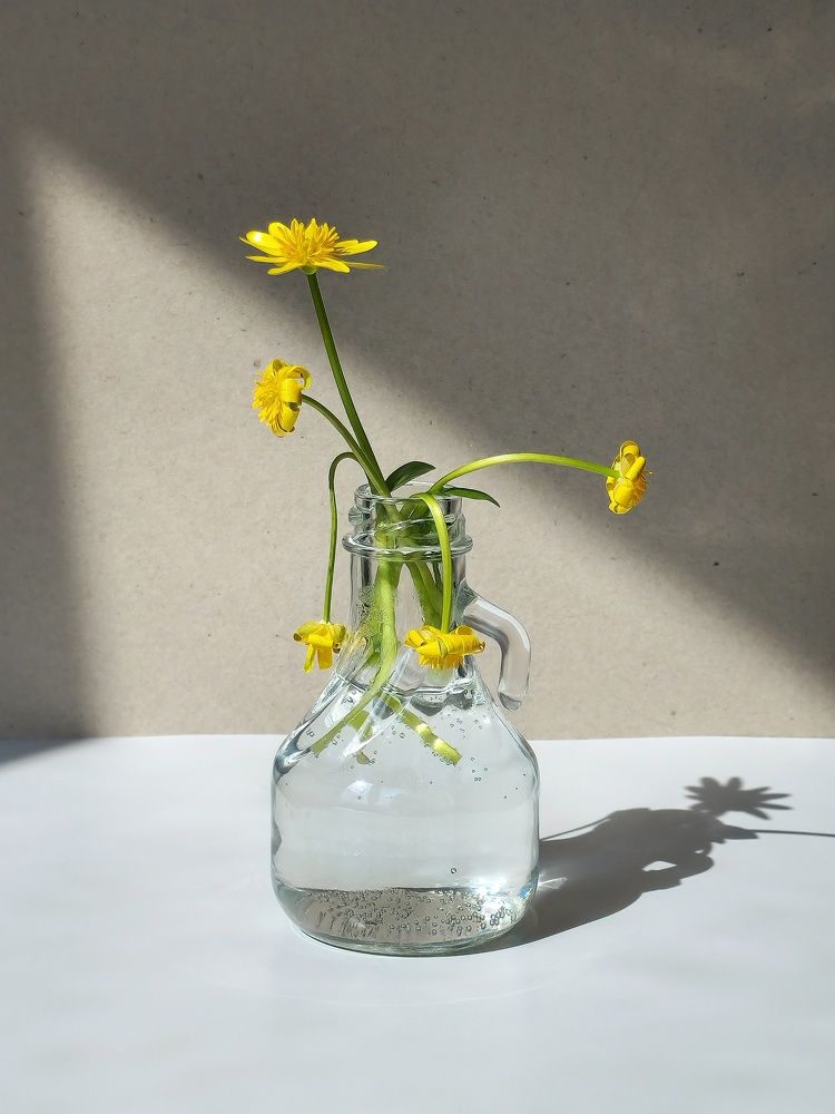 Photograph by Ольга Воронцова