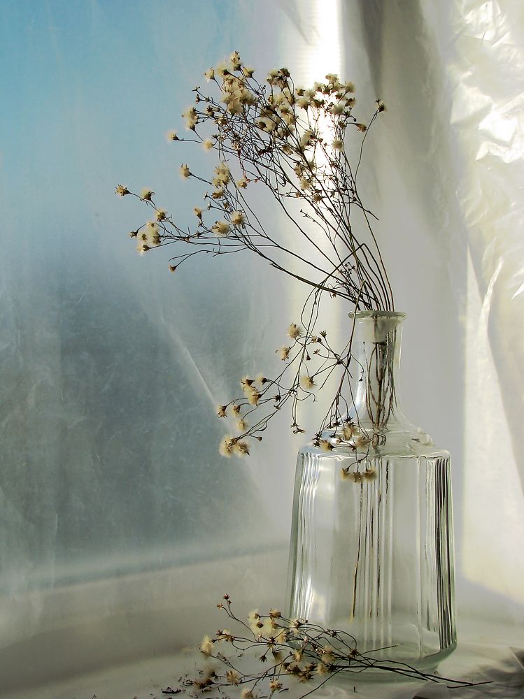 Photograph by Лада Кляузина