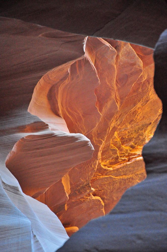 Photograph by Svetlana Rizzo