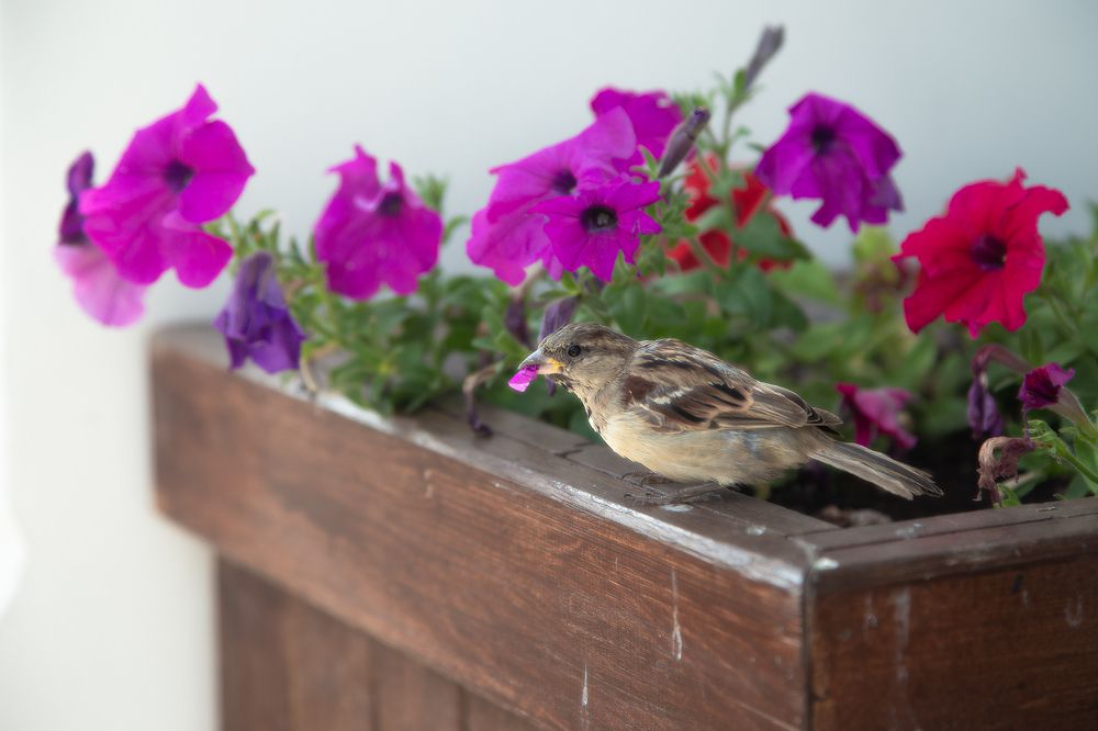 Photograph by Макаров Роман