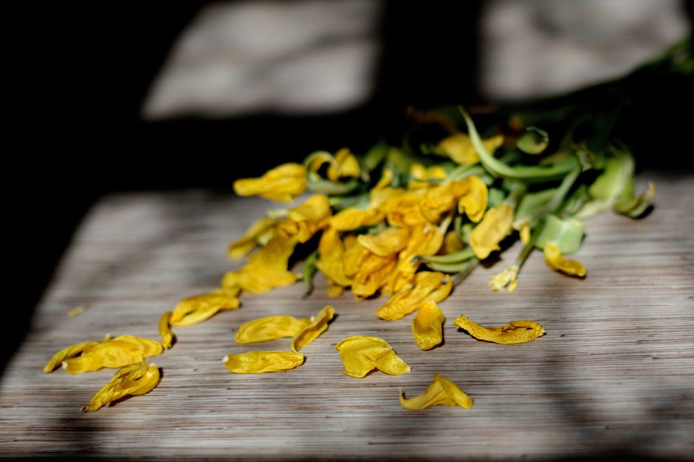 Photograph by Елена Ласун