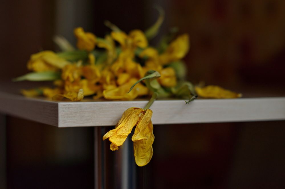 Photograph by Елена Ласун