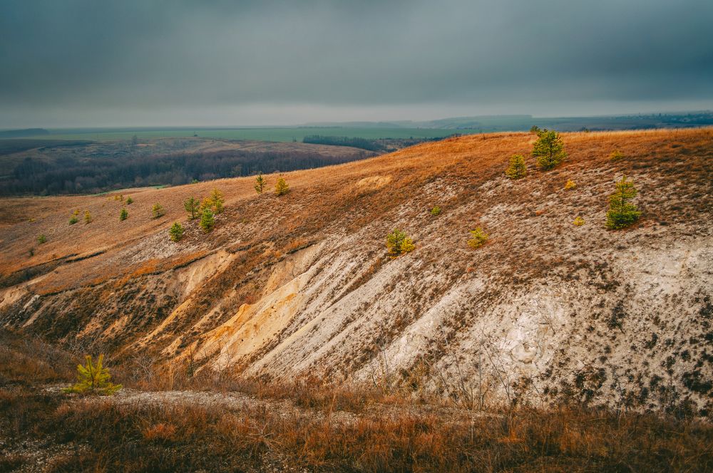 Photograph by Ольга Глущенко