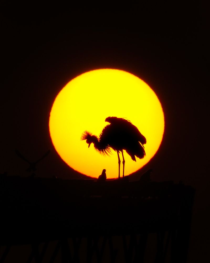 Фотография автора Joshy Varghese