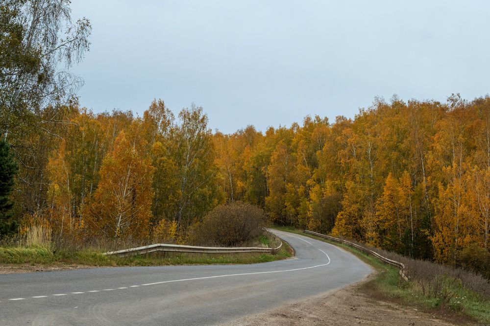 Photograph by Светлана Бохан