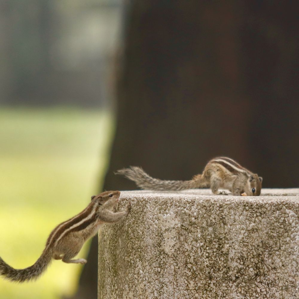 Фотография автора Washiful Majid