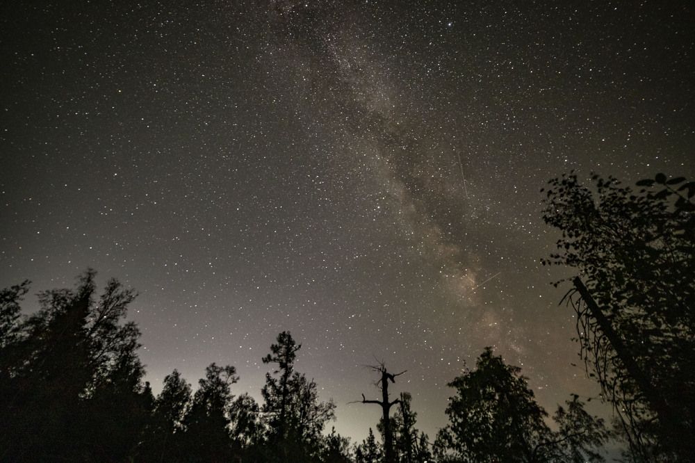 Photograph by Елена Перминова