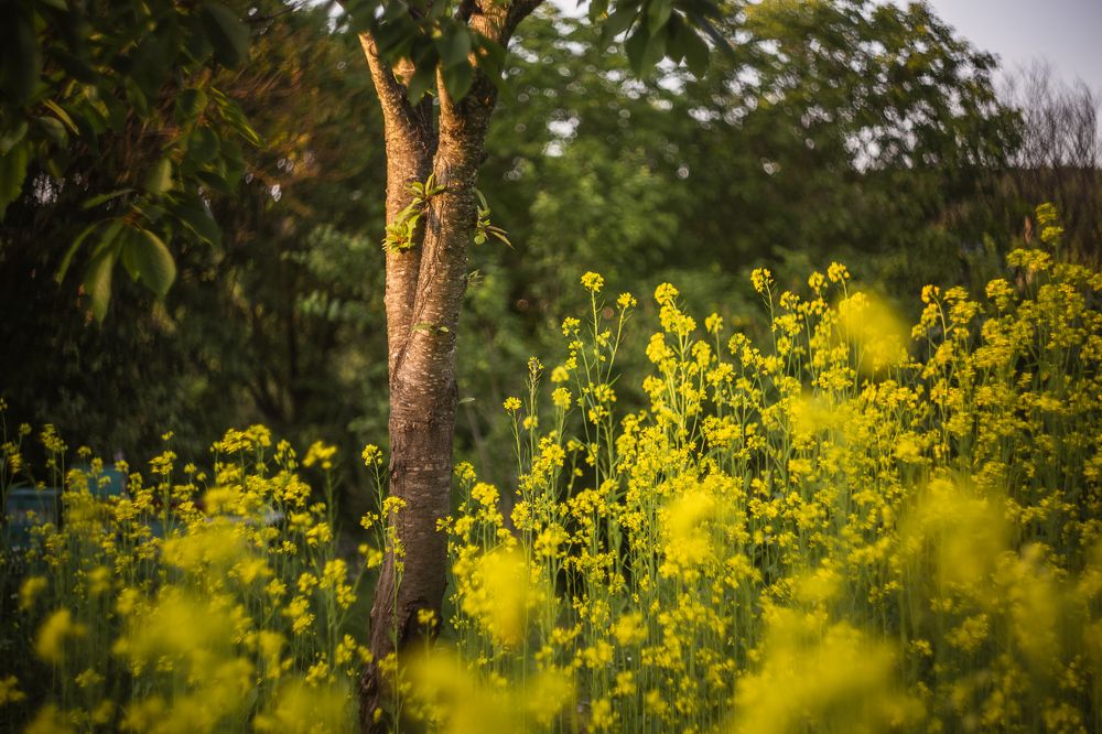 Photograph by Филипп Бабенко