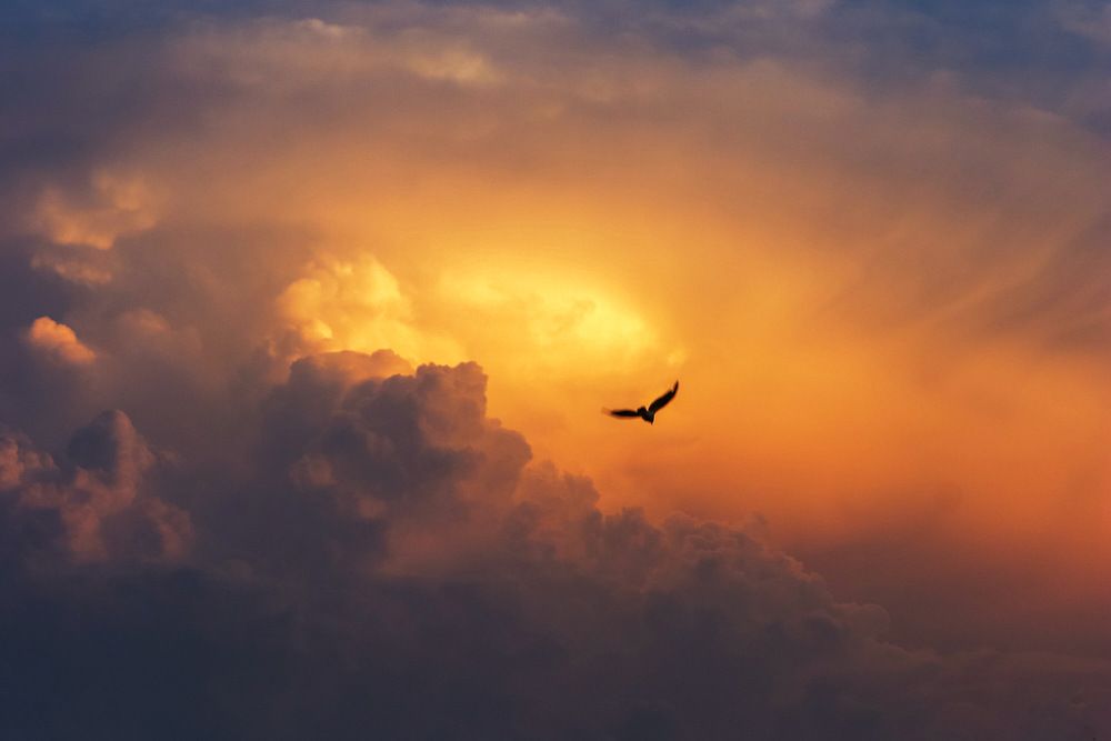 Photograph by Светлана Жилина