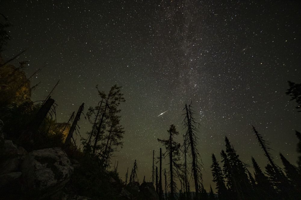 Photograph by Елена Перминова