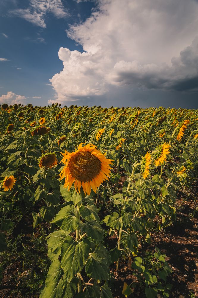 Photograph by Филипп Бабенко