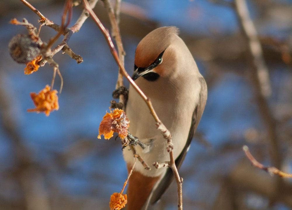 Photograph by Павел Швецов