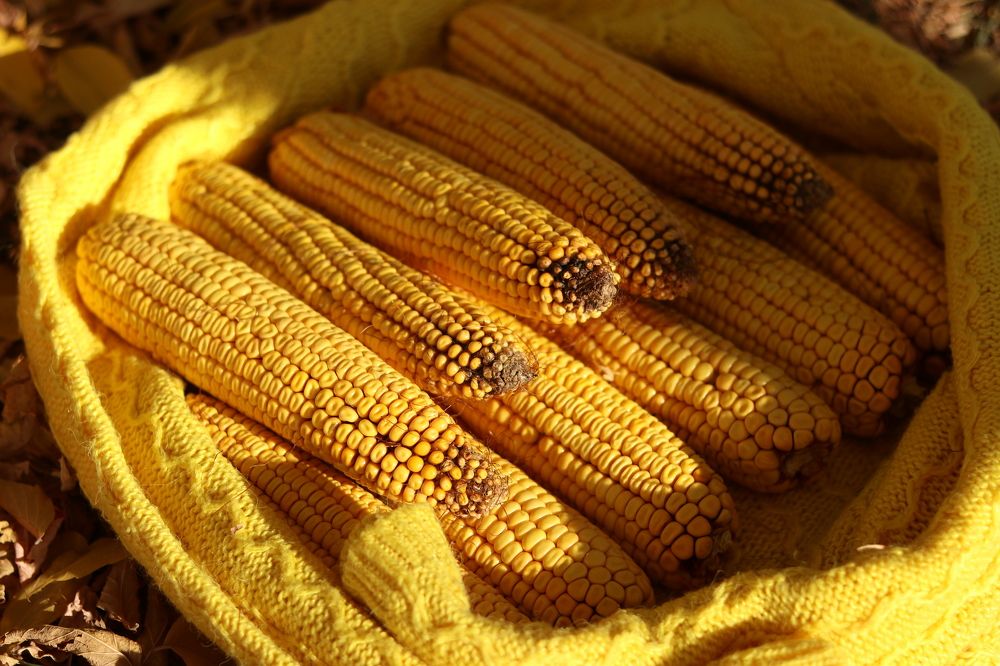 Photograph by Марина Савченко