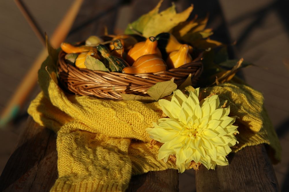 Photograph by Марина Савченко