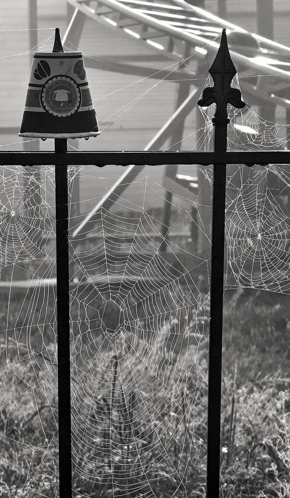 Photograph by Пирог Борис