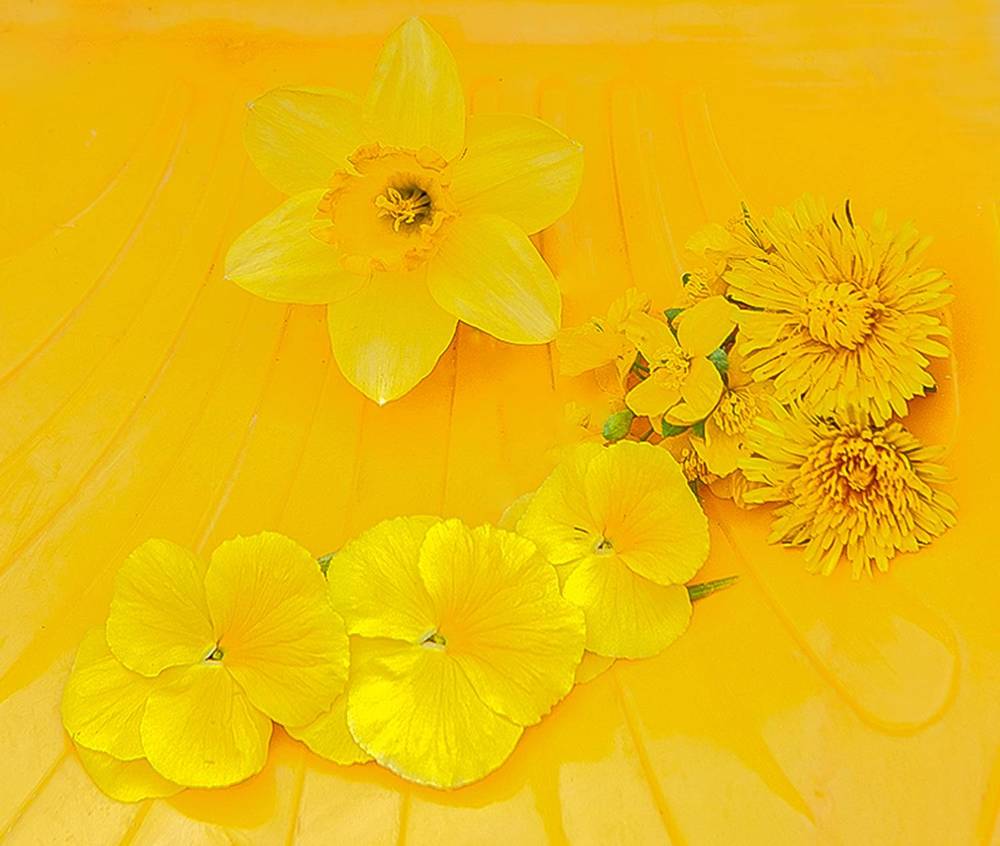 Photograph by Ольга Дядченко