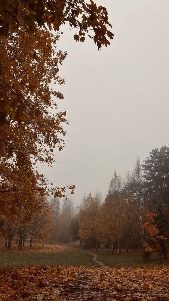 Photograph by Оксана Корепанова