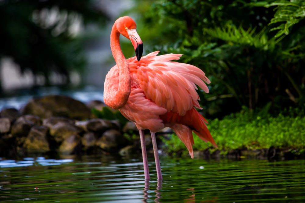 Photograph by Владимир Говоров