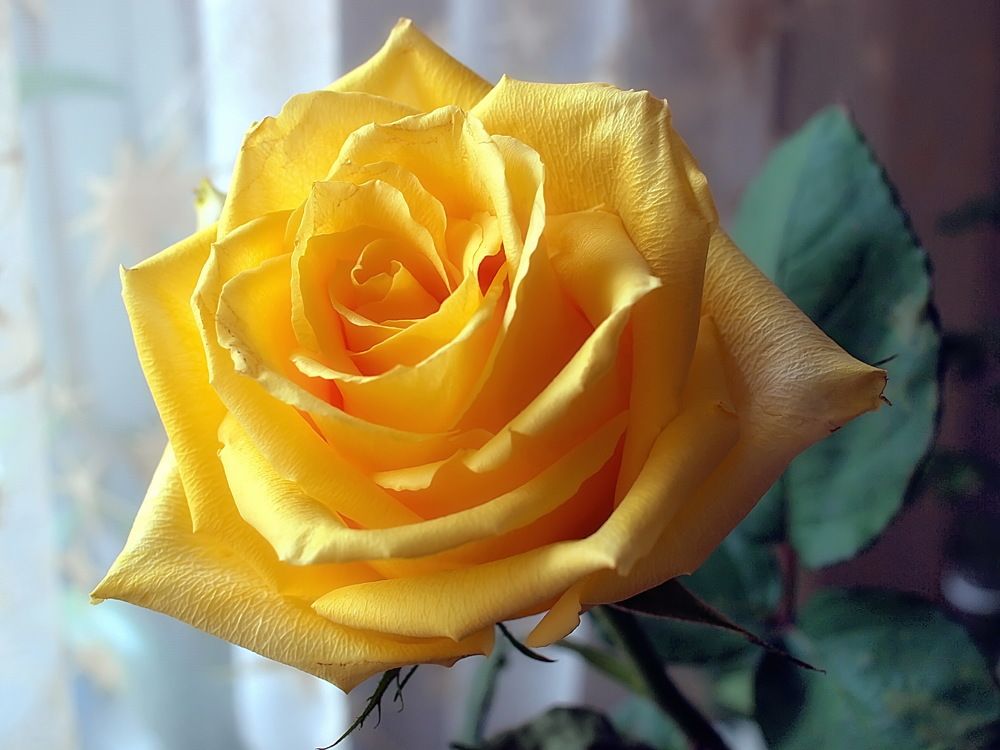 Photograph by Игорь Чеботарёв