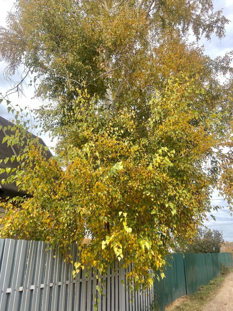 Photograph by Наталья Душакова