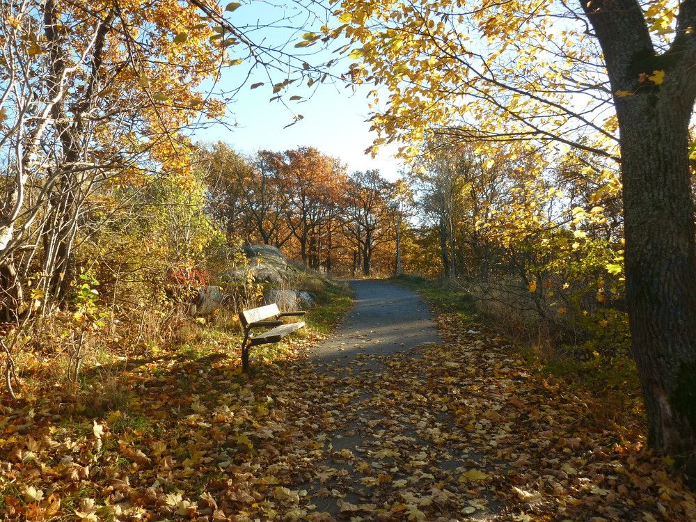 Photograph by Семкин Алексей