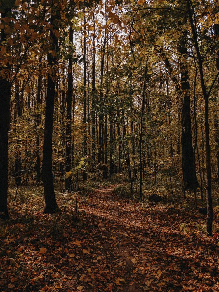 Photograph by Алия Латыйпова