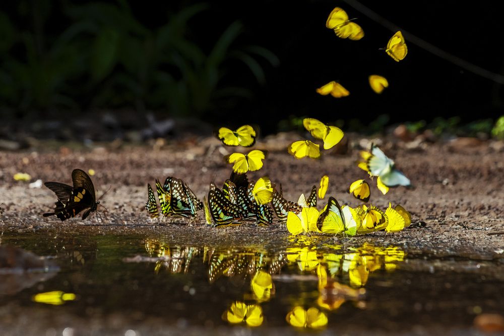 Photograph by Giang Nguyen Thi Tuyet