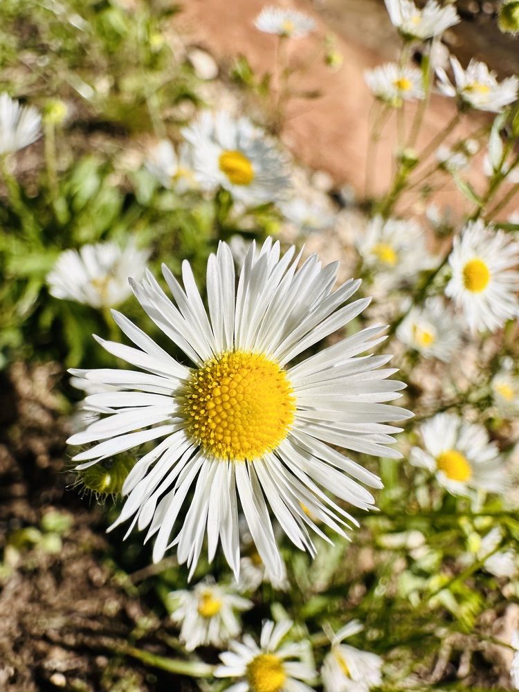 Photograph by Валентина Спиридонова