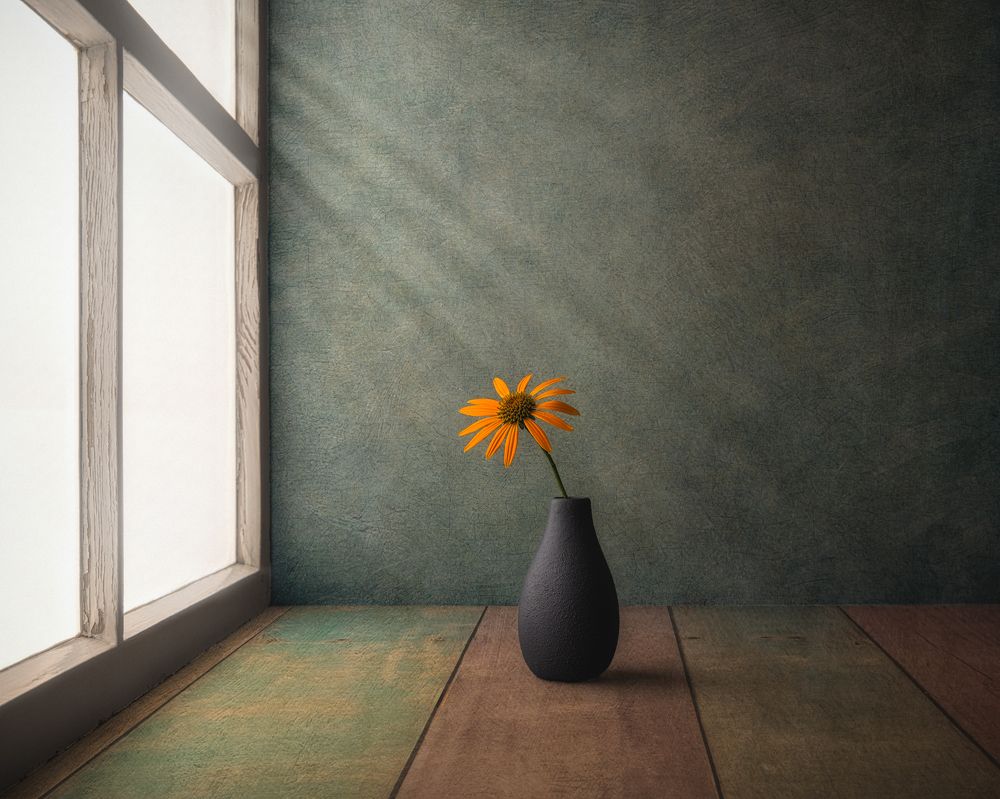 Photograph by Marko Klavs