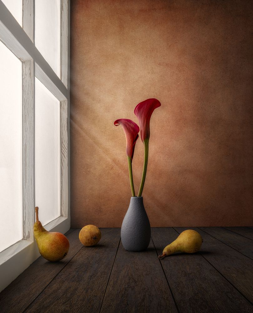 Photograph by Marko Klavs