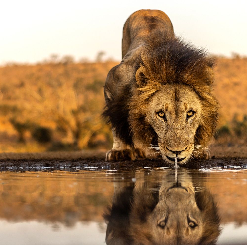 Photograph by Silvia Ribeiro