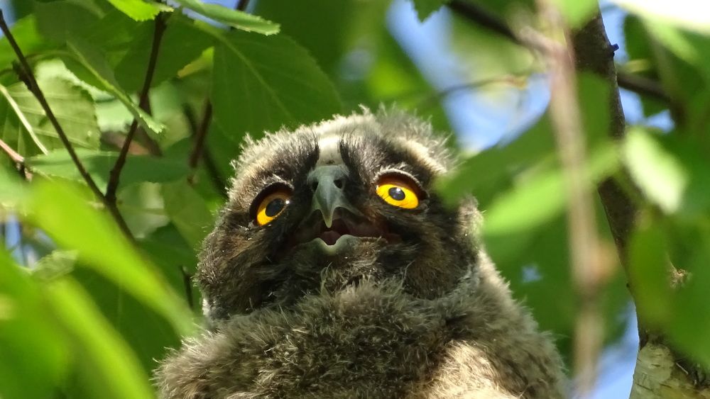 Photograph by Alexsandr Gl