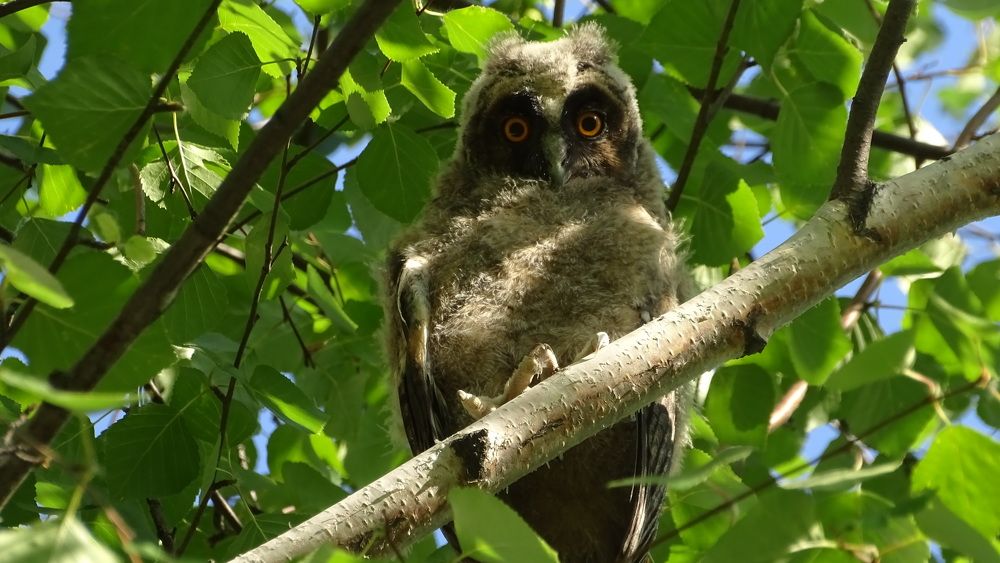 Photograph by Alexsandr Gl