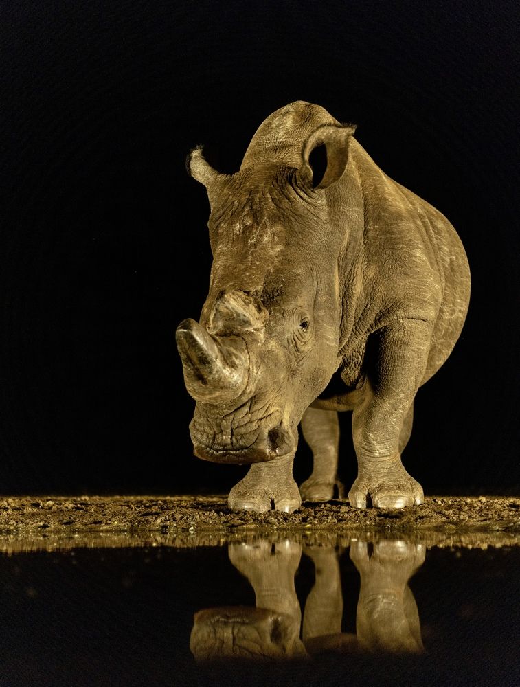 Photograph by Silvia Ribeiro