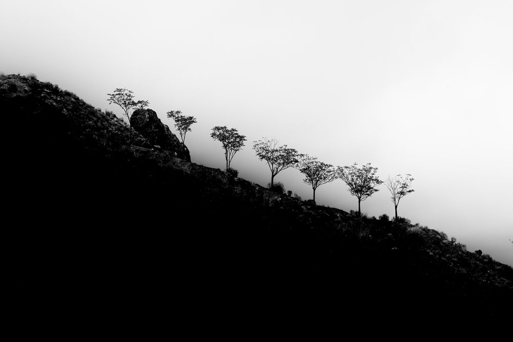 Фотография автора Ehsan Mahmoudi