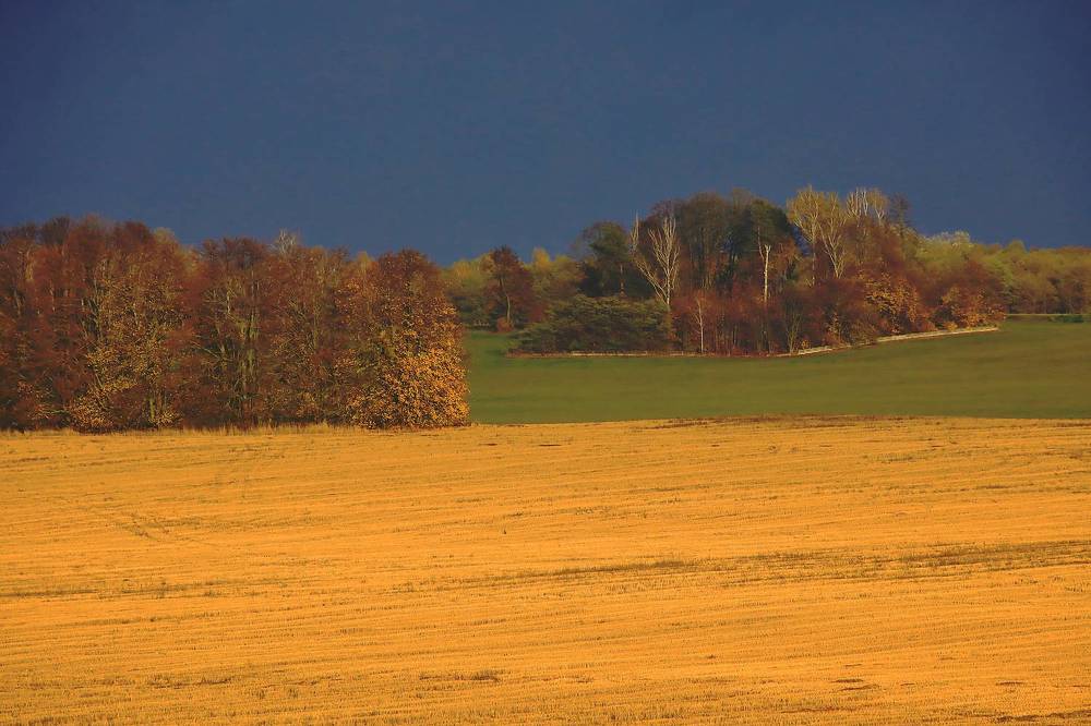 Photograph by Николай Протасеня