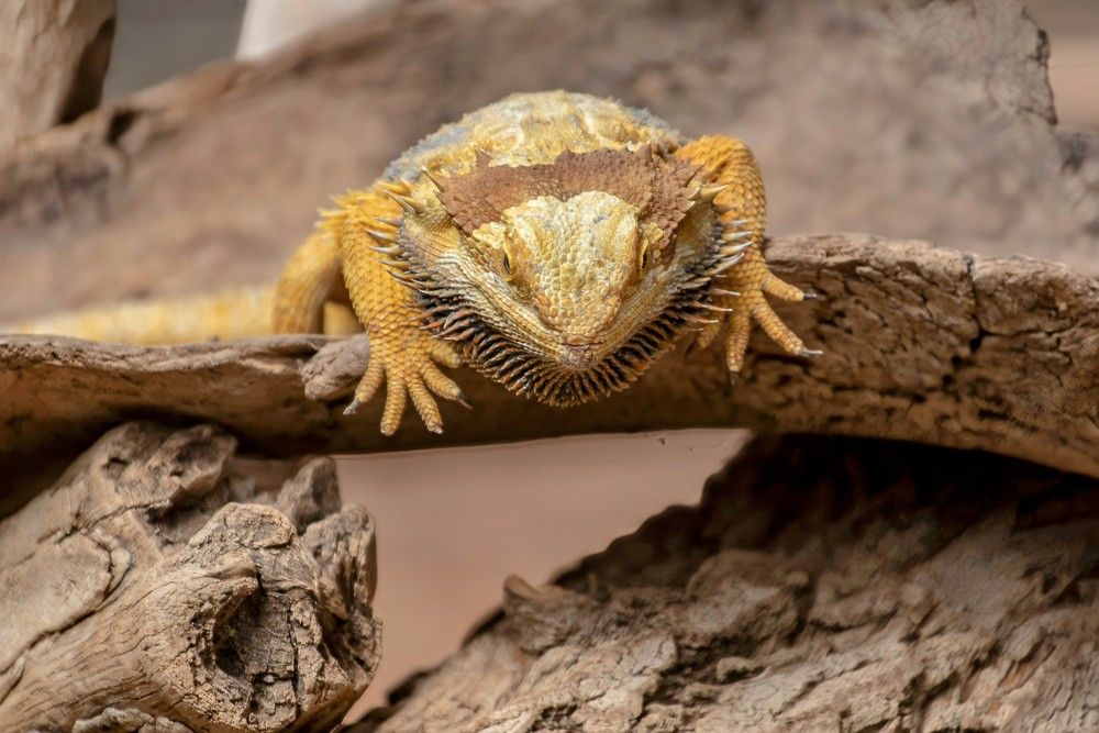 Photograph by Владислав Айзенберг