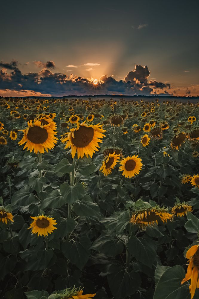 Photograph by Филипп Бабенко