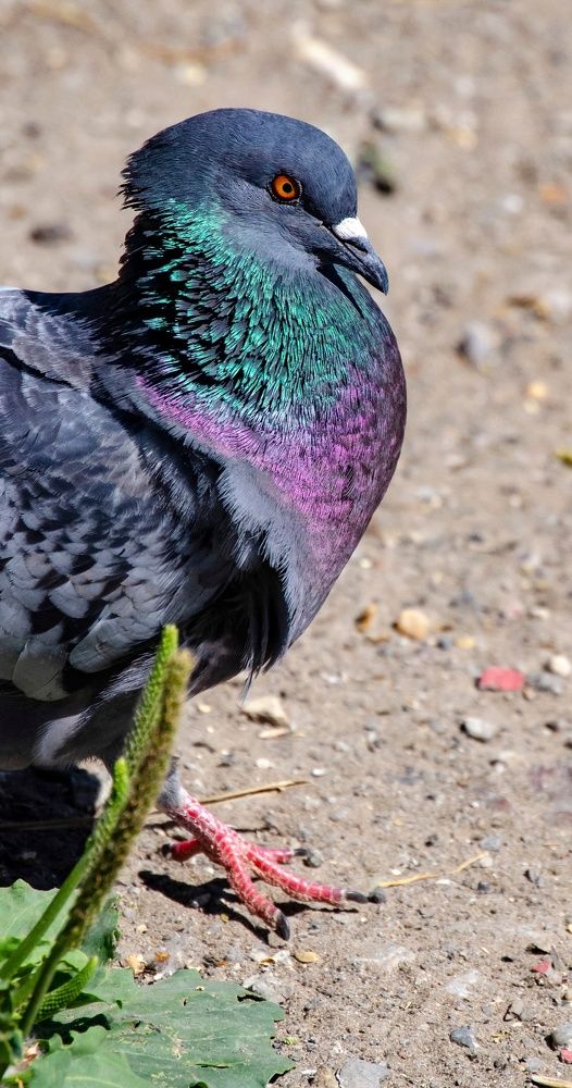 Photograph by Любовь Бусова