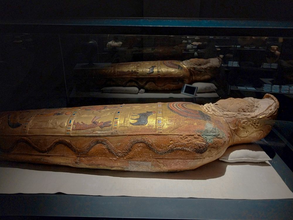 Фотография автора Mennatullah Dakhly