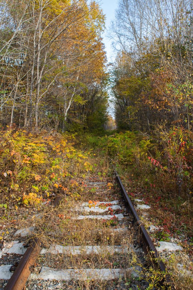 Photograph by Ольга Одинцова