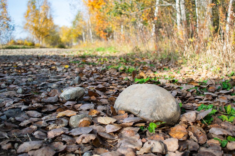 Photograph by Ольга Одинцова